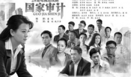 国家审计电视剧