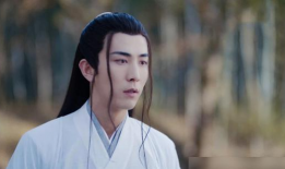 李川演过的电视剧,从亲爱的，热爱的到山河令的多面演绎