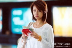 林心如电视剧男才女貌