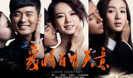 感情电视剧,一段跨越时光的深情演绎